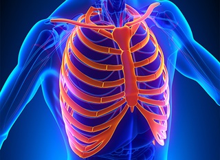 Thoracic&Rib