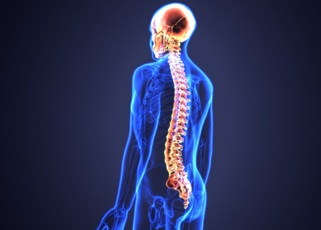 Chiropractic Care